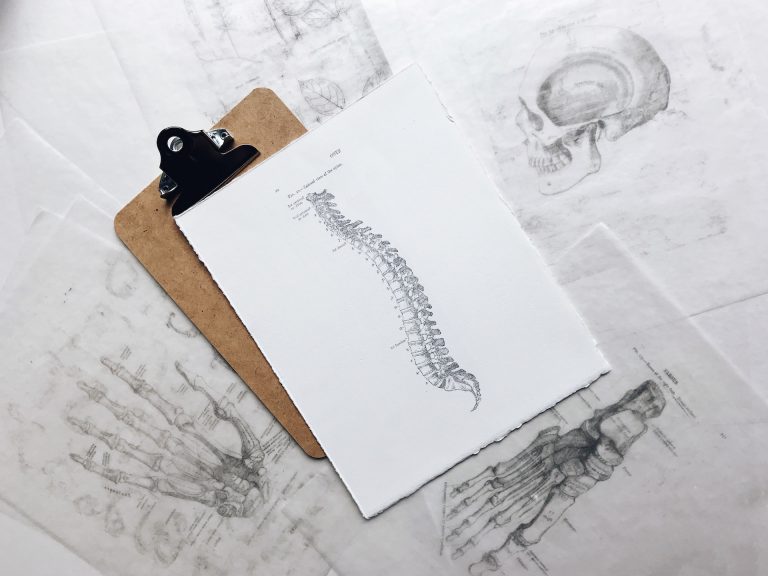 spine, back pain, anatomy, osteopath